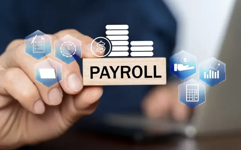 Automated Payroll for Tax Compliance in Pakistan